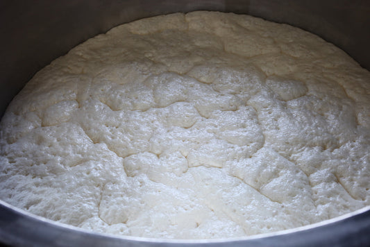 Yamahai ferment