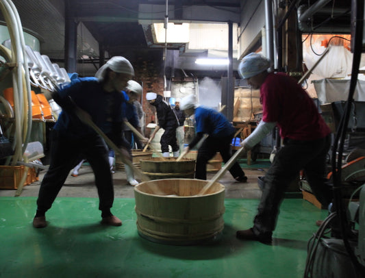 Starter Fermentation - Kimoto