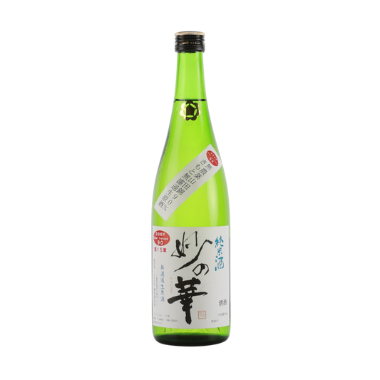 Tae no Hana Kimoto 2024